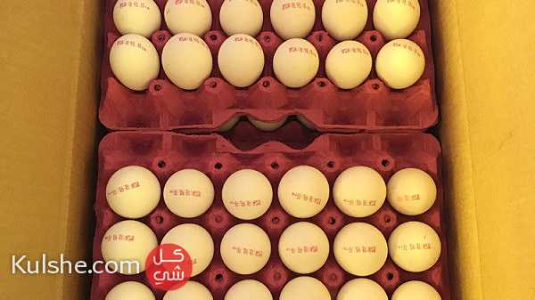 يوجدلدينا بيض مائدة التركي للتصدير - Image 1