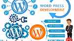 WordPress Design & Development Service in Dubai - صورة 2