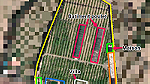 مزرعة على مساحة 3 هكتارات بمساحة 7500 متر  مزيد من التفاصيل في الاسفل - Image 1