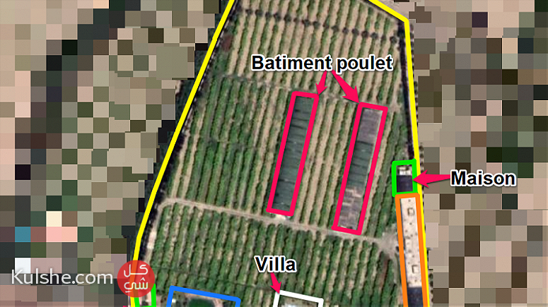 مزرعة على مساحة 3 هكتارات بمساحة 7500 متر  مزيد من التفاصيل في الاسفل - Image 1