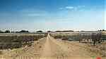 أرض للبيع 70 فدان مدينة سفنكس الجديده بطريق مصر اسكندريه الصحراوي - صورة 2