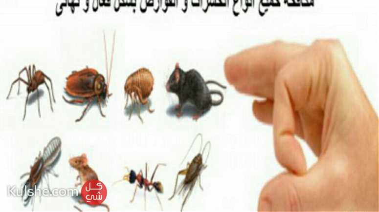 متخصصون ف مكافحه الحشرات بأنواعها - Image 1