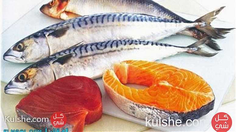 اود استيراداسماك من موريتانيا وخاصة سمك التونه والمكاريل والبلطي والبوري .. - صورة 1