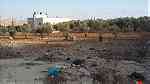 ارض للبيع في شفا بدران/ ابو القرام - قرب اكاديمية ريماس الدولية - صورة 3