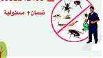 شركة مكافحة حشرات بالرياض - صورة 4