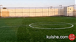 لاند سكيب للحدائق وعشب صناعي للملاعب الداخلية والخارجية والجيم - صورة 17