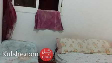شقة مفروشة :غرفة نوم + صالون مكيف بحي المحمدي - صورة 1