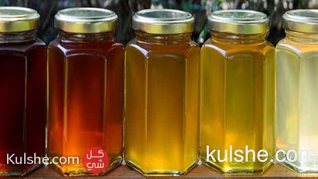بيع وتصدير جميع انواع العسل الحر - Image 1