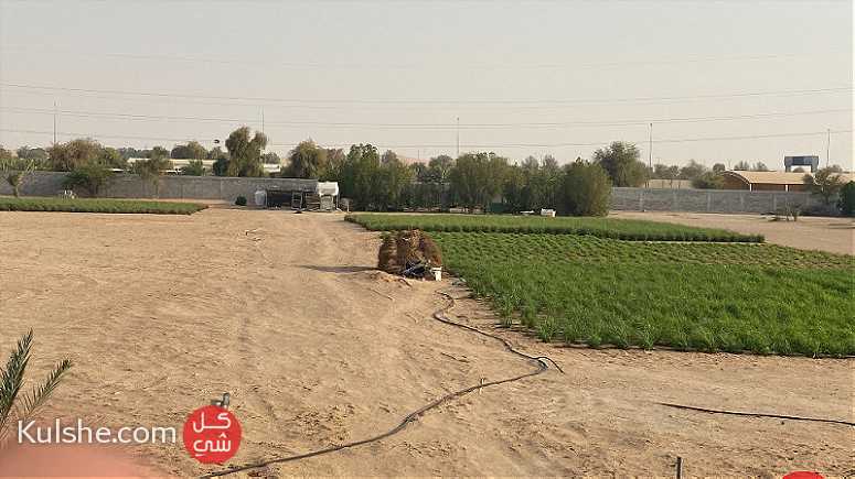 مزرعه مميزه فالختم ابوظبي - Image 1