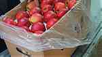 تصدير التفاح من اوكرانيا - Image 2