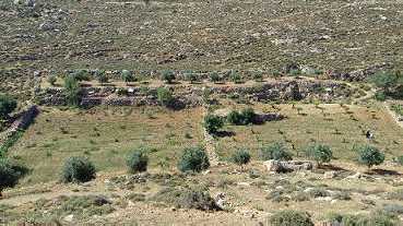 ارض 3 دونم و700 متر طابو بيت لحم - Image 1