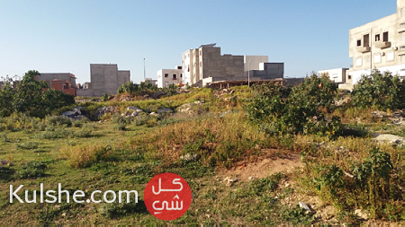 قطعة ارض للبيع في تونس العقبة قريبة من الدندان - صورة 1