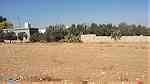 ارض للبيع في سحاب/ العبدلية -قرب مدرسة العبدلية الأساسية المختلطة - صورة 6