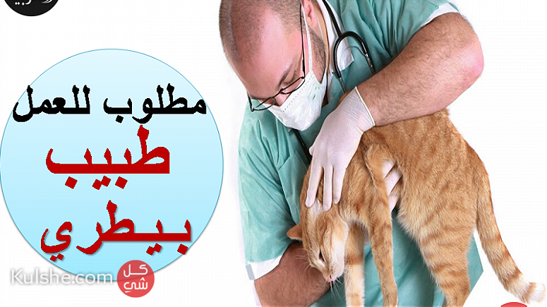مطلوب للعمل بالسعودية (جدة ) طبيب بيطري - Image 1