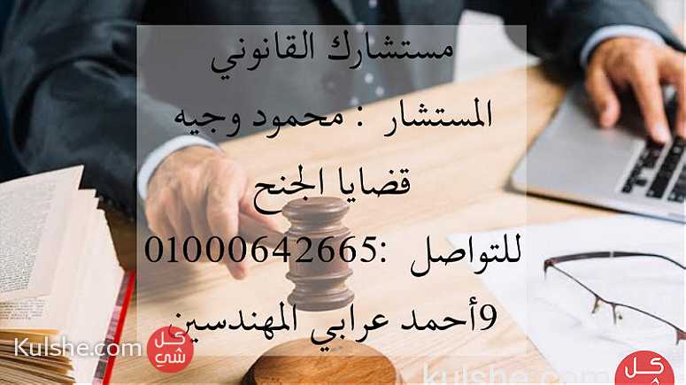 محامي قضايا الجنح في مصر - Image 1