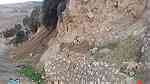 اراضي للبيع في جبة/ طريق عمان جرش - مقابل معصرة جبال جرش - Image 10
