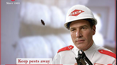 خدمة مكافحة الأفات والحشرات والقوارض من Orkin Egypt  المزيد من الإعلانات ال