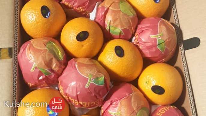 Egyptian fresh fruits/ fresh valencia oranges برتفال فالنسيا - صورة 1