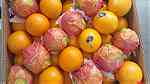 Egyptian fresh fruits/ fresh valencia oranges برتفال فالنسيا - صورة 4