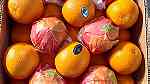 Egyptian fresh fruits/ fresh valencia oranges برتفال فالنسيا - صورة 5