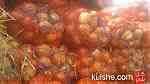 بصل و بطاطس للبيع بالجملة جودة ممتازة واسعار مناسبة من المغرب - Image 3