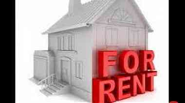 1BHK for rent in Wukair No Commission