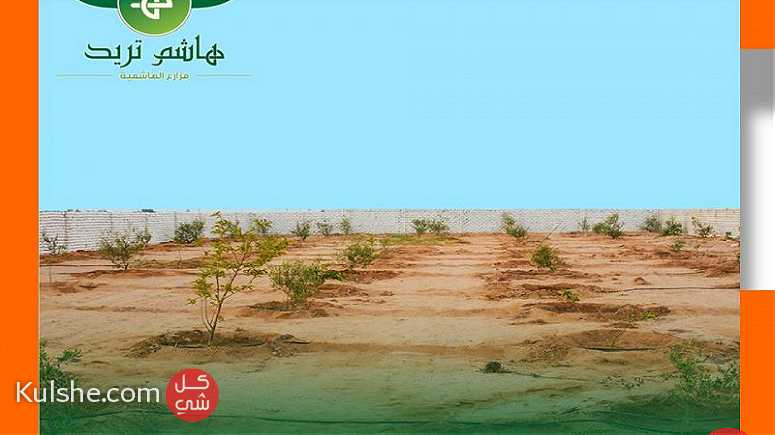 مزارع للبيع داخل كمبوند الهاشمية - Image 1