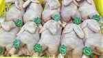 دجاج مجمد اوكراني المنشأ للبيع Halal - صورة 2