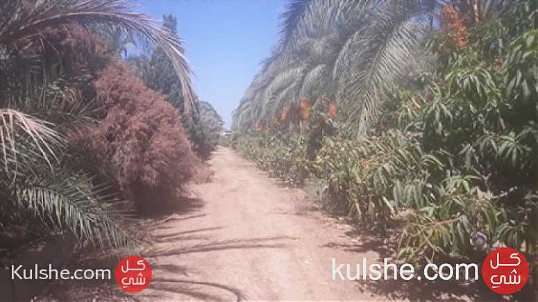 مزرعه للبيع جمعية احمد عرابي - العبور - فيلات - orabi - Image 1