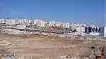 ارض للبيع في الجبيهة/ حي الريان - مقابل مدرسة نجمة الفريد - Image 1