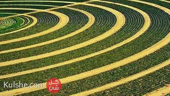 أرض زراعية للبيع 200 فدان السعر ممتاز - Image 1