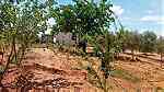 مزرعة مجهزة بمنزل بئر و اشجار الفواكه و قريبة من تيفلت - صورة 3