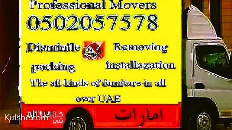Professional Movers - Image 1