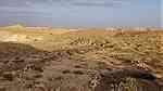 بيع مزارع وارضي في حضرموت وبعض المناطق اليمنيع - صورة 4