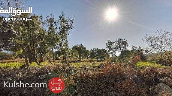 أرض للبيع مرتفعه في عجلون - Image 1
