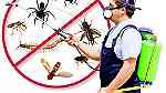 مكافحة الحشرات الحشرات بالرياض - شركة رش مبيدات - الفنار كلين - صورة 2
