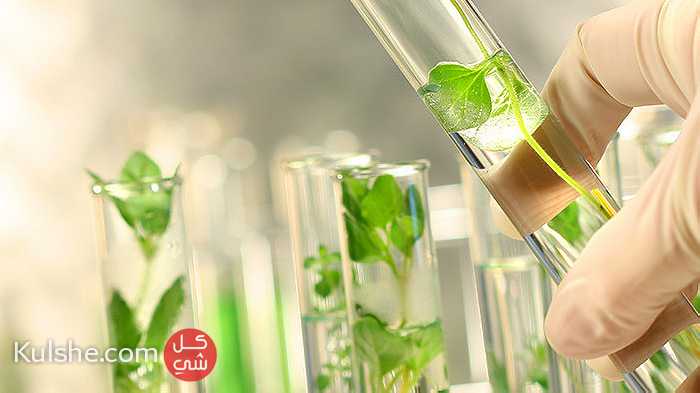 DNA Based GMO Testing Laboratory in UAE - Image 1