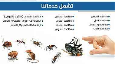 شركة لحام خزانات ومكافحة حشرات بالدمام 0552643877