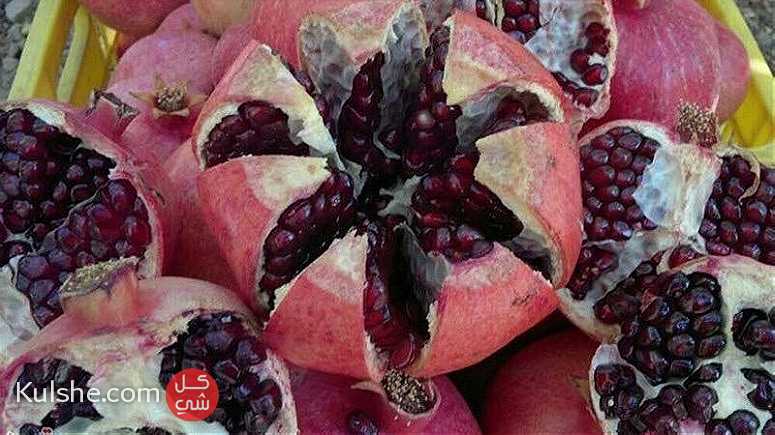 بيع الرمان والتفاح - Image 1