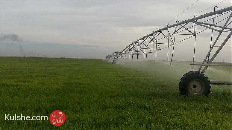ارض زراعية في صلاح الدين بيجي قرب جسر الاسمده - Image 1