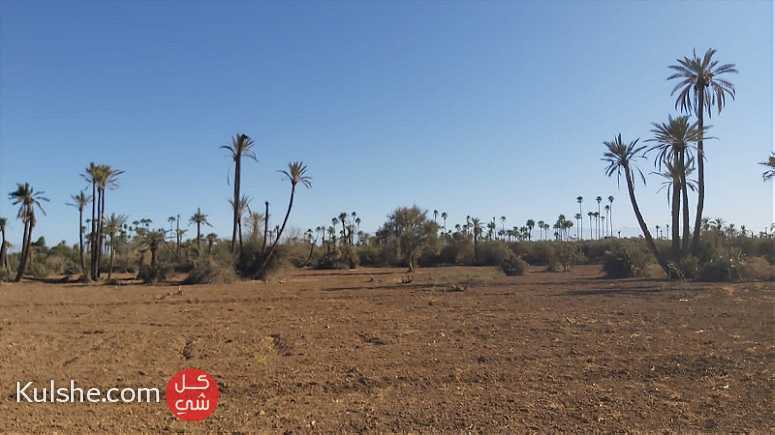 أراض بمراكش مساحتها 4 هكتارات بحي النخيل - Image 1