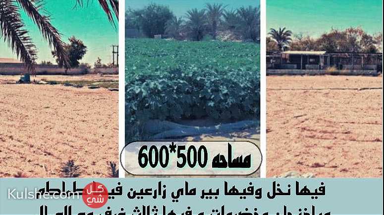 للبيع مزرعه في إمارة ابوظبي منطقه الرحبه - Image 1