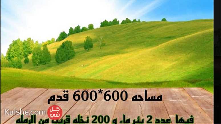 مزرعه في إمارة العين منطقه الوقن زاويه وثلاث و شوارع - Image 1