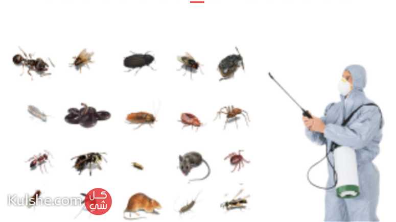 Pest contrrol مكافحة الحشرات - Image 1