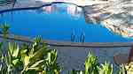 فيو حمام سباحة شاليه 65م بحديقة 25م استلام فوري بالقرية الهولندية - راس سدر - صورة 4
