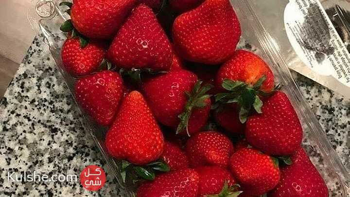 Fresh strawberry - صورة 1
