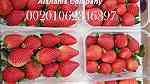 Fresh strawberry - Image 2