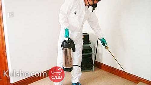 شركة مكافحة حشرات بالدمام شركة رش مبيدات بالدمام شركة تنظيف بالدمام - Image 1