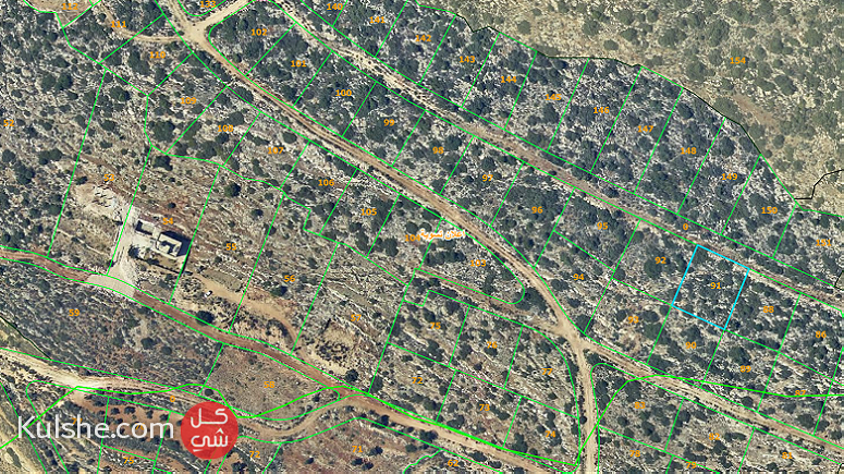 قطعة ارض للبيع في كفر عين - رام الله - صورة 1