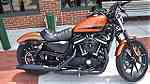 Pre-Owned 2020 Harley-Davidson Sportster XL883N 883 IRON - Image 2